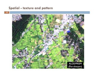 Image analysis basics and principles | PDF