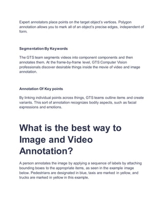 Key Point Annotating Example Image and video annotation | DOCX