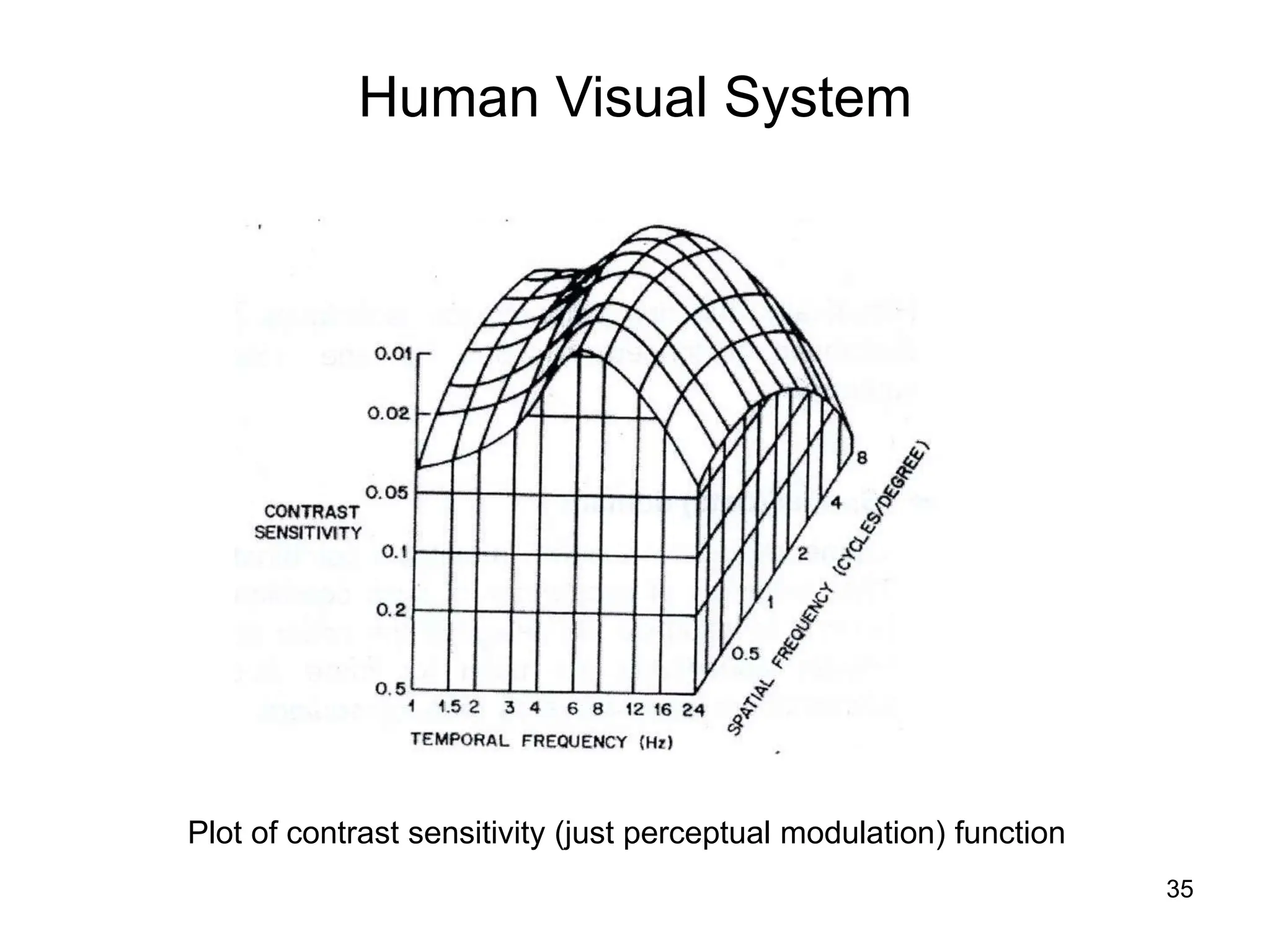 35
Human Visual System
Plot of contrast sensitivity (just perceptual modulation) function
 