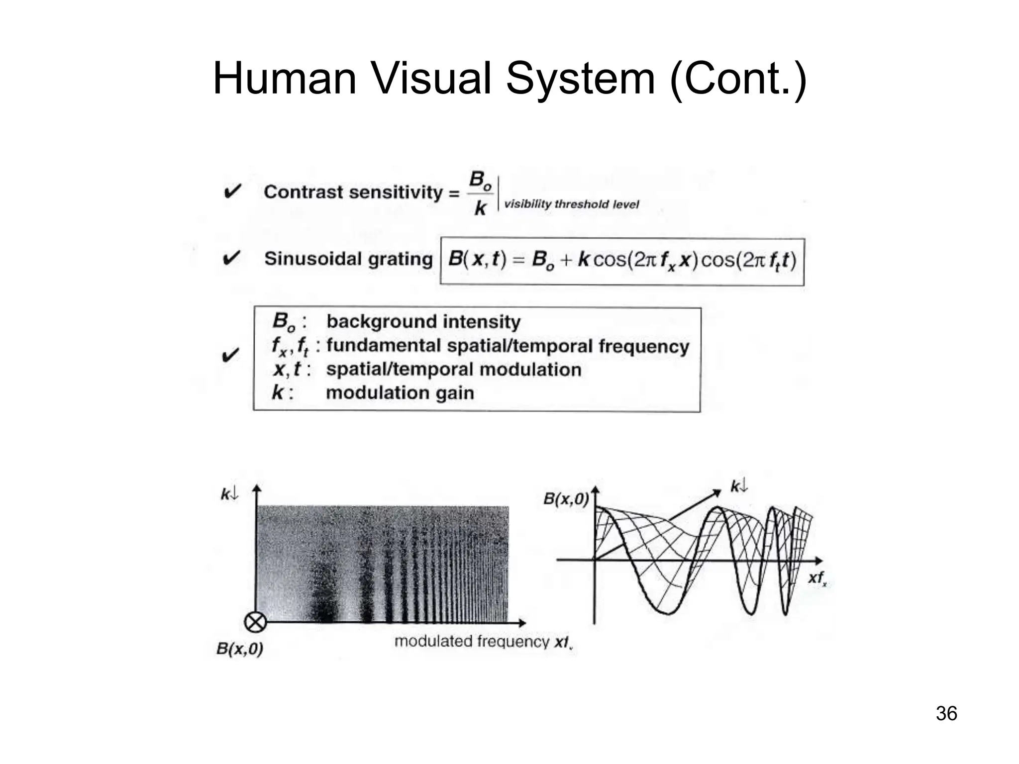 36
Human Visual System (Cont.)
 