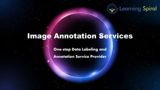 One-stop Data Labeling and
Annotation Service Provider
Image Annotation Services
 