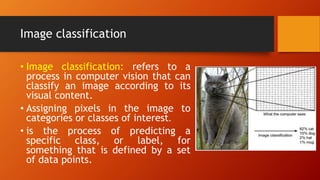 Image classification | PPTX | Computing | Technology & Computing