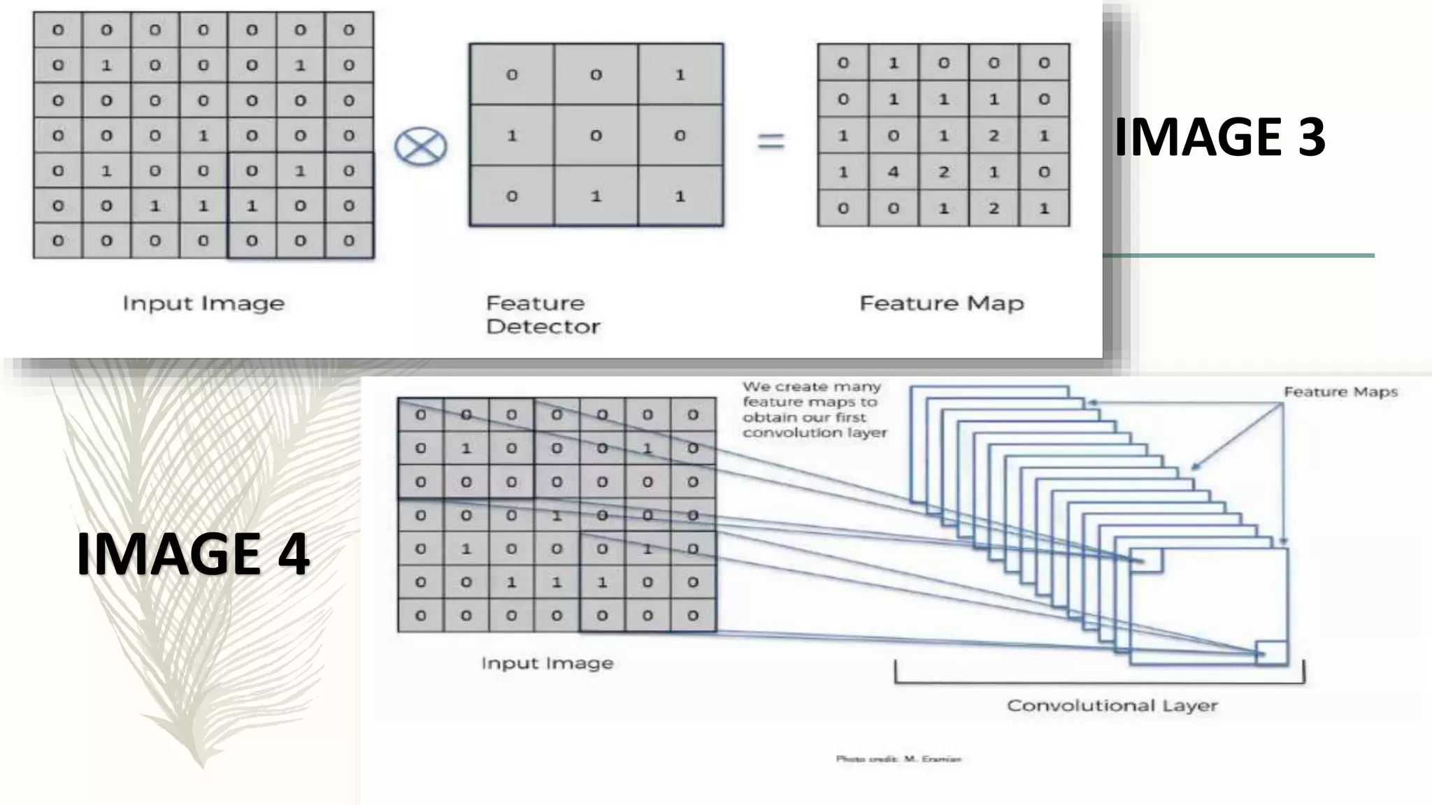 Image classification using cnn | PPTX | Artificial Intelligence ...