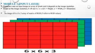 IMAGE CLASSIFICATION USING CONVOLUTIONAL NEURAL NETWORK.P.pptx