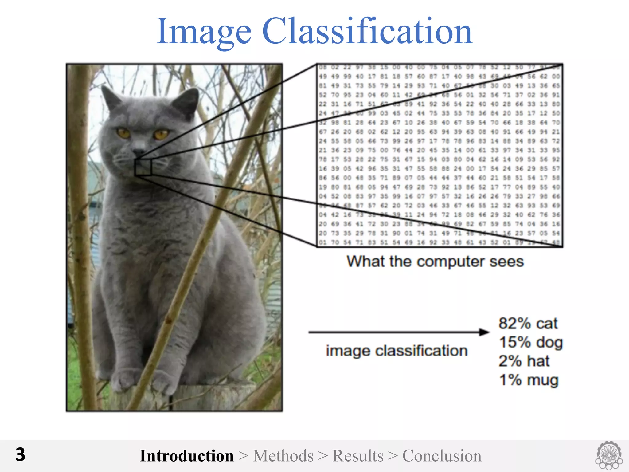 Introduction > Methods > Results > Conclusion3
Image Classification
 