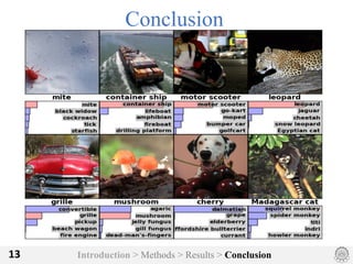 Introduction > Methods > Results > Conclusion13
Conclusion
 