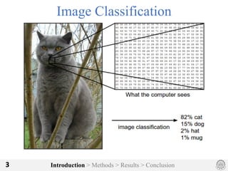 Introduction > Methods > Results > Conclusion3
Image Classification
 