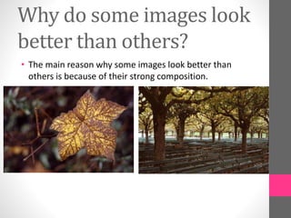 Image composition | PPTX