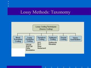 Lossy Methods: Taxonomy
 