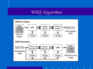 WSQ Algorithm
 