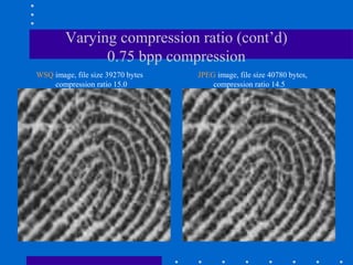 Varying compression ratio (cont’d)
0.75 bpp compression
WSQ image, file size 39270 bytes
compression ratio 15.0
JPEG image, file size 40780 bytes,
compression ratio 14.5
 