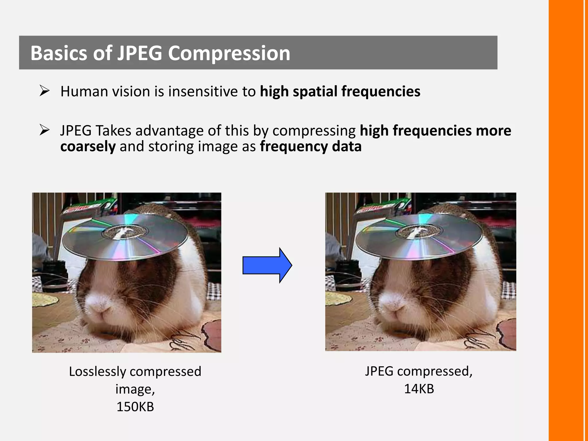 Basics of JPEG Compression
 Human vision is insensitive to high spatial frequencies
 JPEG Takes advantage of this by compressing high frequencies more
coarsely and storing image as frequency data

Losslessly compressed
image,
150KB

JPEG compressed,
14KB

 