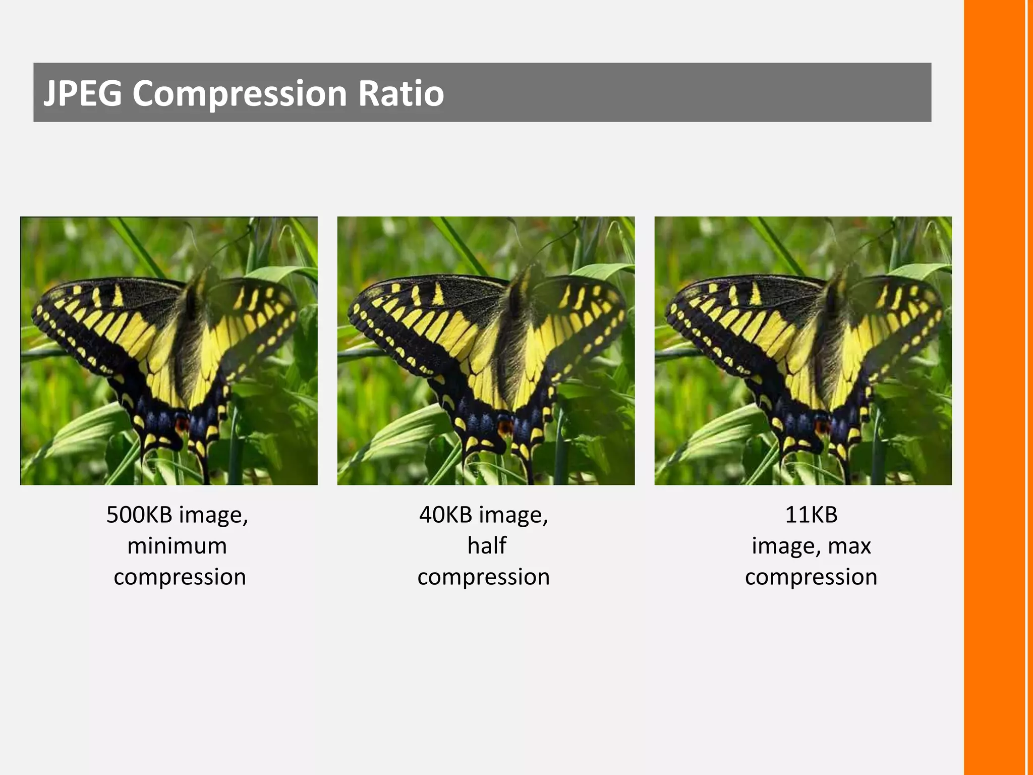 JPEG Compression Ratio

500KB image,
minimum
compression

40KB image,
half
compression

11KB
image, max
compression

 