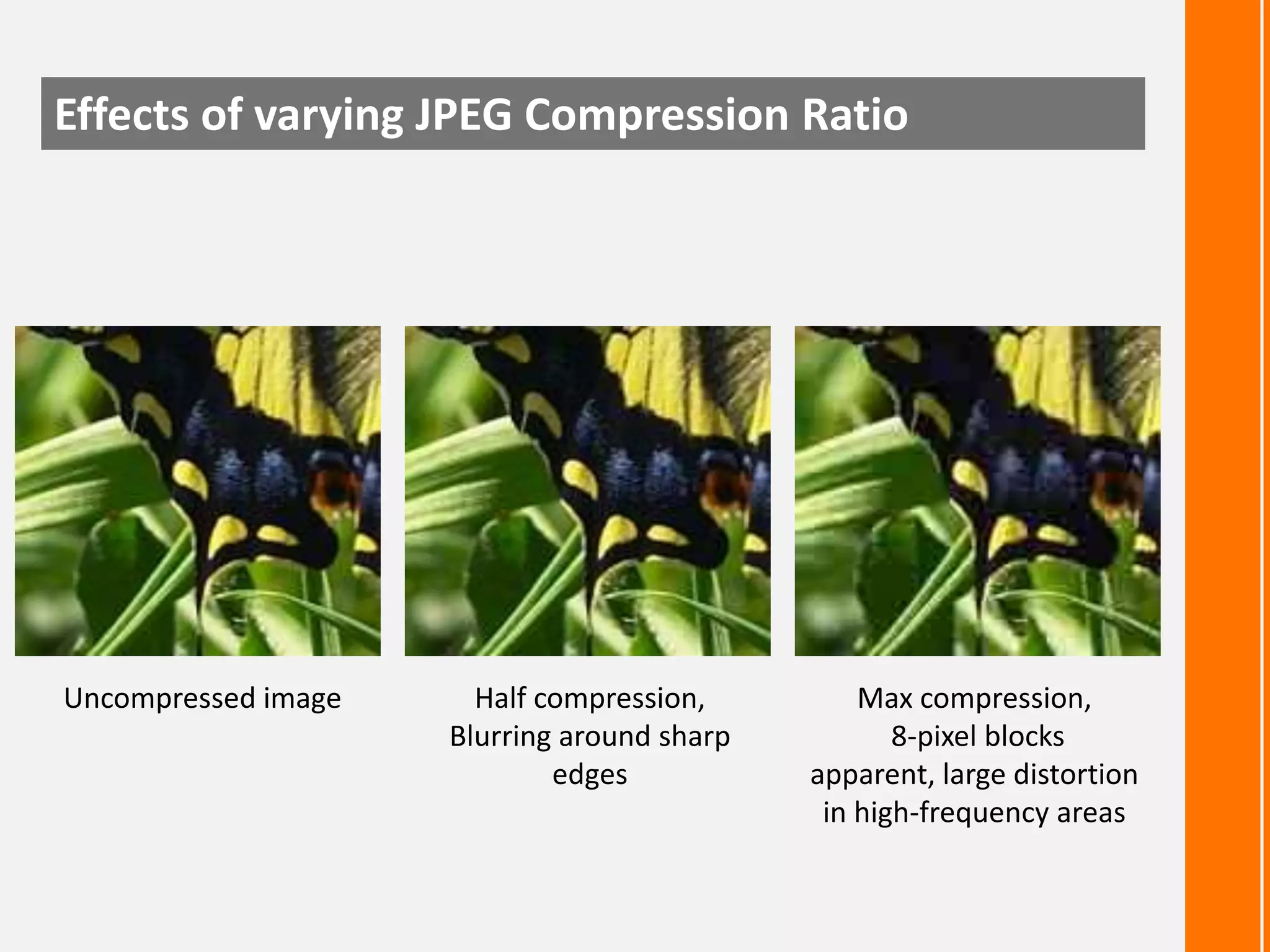 Effects of varying JPEG Compression Ratio

Uncompressed image

Half compression,
Blurring around sharp
edges

Max compression,
8-pixel blocks
apparent, large distortion
in high-frequency areas

 