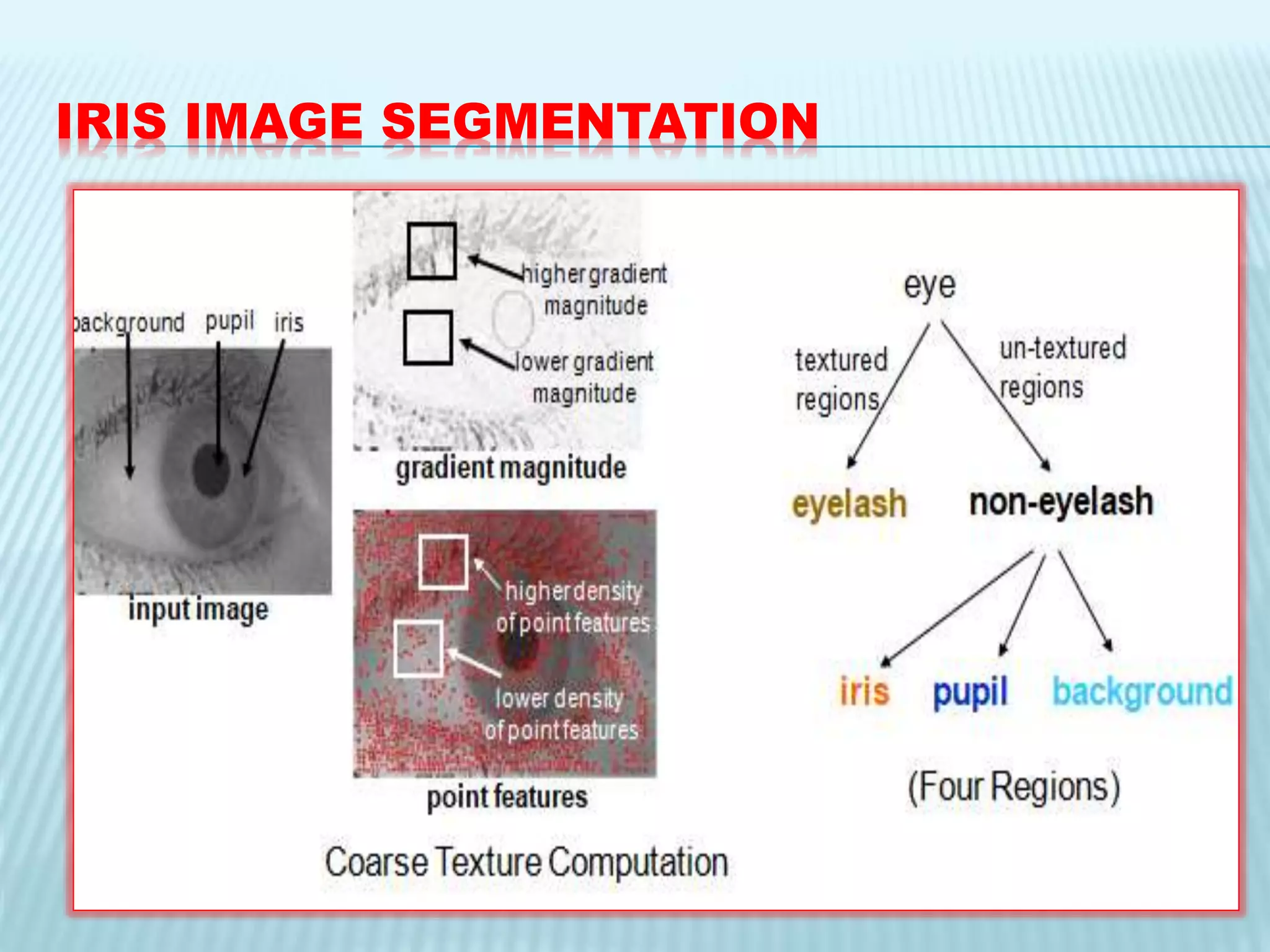 IRIS IMAGE SEGMENTATION
 