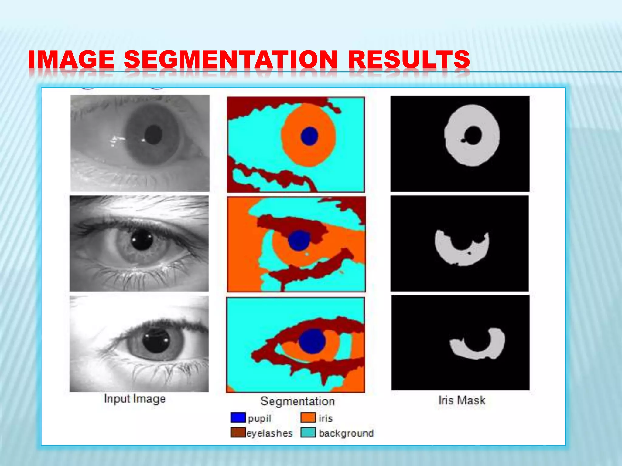 IMAGE SEGMENTATION RESULTS
 