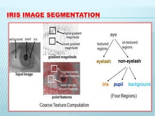 IRIS IMAGE SEGMENTATION
 