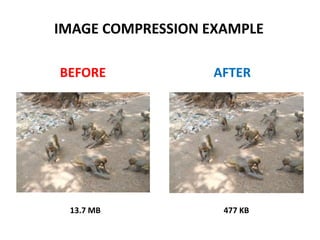 IMAGE COMPRESSION EXAMPLE
BEFORE AFTER
13.7 MB 477 KB
 