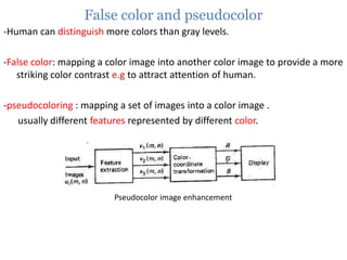 False color and pseudocolor
-Human can distinguish more colors than gray levels.
-False color: mapping a color image into another color image to provide a more
striking color contrast e.g to attract attention of human.
-pseudocoloring : mapping a set of images into a color image .
usually different features represented by different color.

Pseudocolor image enhancement

 