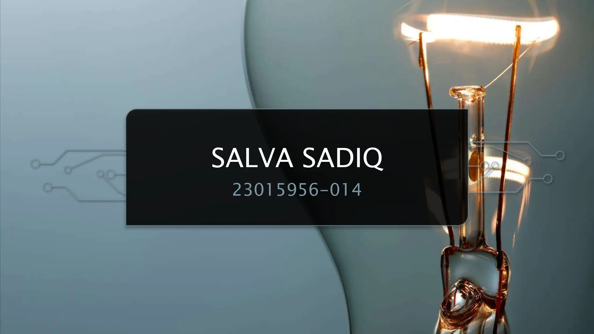 SALVA SADIQ
23015956-014
 