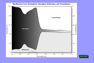 JeJnesnesne,n ,2 0200044 
 