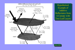 Hypothetical 
Example of 
Additive 
Reflectance from 
A Canopy with 
Two Leaf Layers 
Hypothetical 
Example of 
Additive 
Reflectance from 
A Canopy with 
Two Leaf Layers 
JeJnesnesne,n ,2 0200044 
 