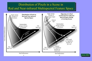 Distribution of Pixels in a Scene in 
Distribution of Pixels in a Scene in 
Red and Near-infrared Multispectral Feature Space 
Red and Near-infrared Multispectral Feature Space 
JeJnesnesne,n ,2 0200044 
 