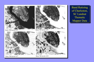 Band Ratioing 
of Charleston, 
SC Landsat 
Thematic 
Mapper Data 
Band Ratioing 
of Charleston, 
SC Landsat 
Thematic 
Mapper Data 
 