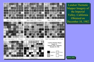Landsat Thematic 
Mapper Imagery of 
Landsat Thematic 
Mapper Imagery of 
the Imperial 
the Imperial 
Valley, California 
Valley, California 
Obtained on 
Obtained on 
December 10, 1982 
December 10, 1982 
JeJnesnesne,n ,2 0200000 
Band 1 (blue; 0.45 – 0.52 mm) Band 2 (green; 0.52 – 0.60 mm) Band 3 (red; 0.63 – 0.69 mm) 
Band 1 (blue; 0.45 – 0.52 mm) Band 2 (green; 0.52 – 0.60 mm) Band 3 (red; 0.63 – 0.69 mm) 
Band 4 (near-infrared; 0.76 – 0.90 mm) Band 5 (mid-infrared; 1.55 – 1.75 mm) Band 7 (mid-infrared; 2.08 – 2.35 mm) 
Band 4 (near-infrared; 0.76 – 0.90 mm) Band 5 (mid-infrared; 1.55 – 1.75 mm) Band 7 (mid-infrared; 2.08 – 2.35 mm) 
Band 6 (thermal infrared; 10.4 – 12.5 mm) 
Sugarbeets 
Alfalfa 
Cotton 
Fallow 
feed 
lot 
fl 
Ground Reference 
Landsat Thematic Mapper 
Imagery of 
Imperial Valley, California, 
December 10, 1982 
Band 6 (thermal infrared; 10.4 – 12.5 mm) 
Sugarbeets 
Alfalfa 
Cotton 
Fallow 
feed 
lot 
fl 
Ground Reference 
Landsat Thematic Mapper 
Imagery of 
Imperial Valley, California, 
December 10, 1982 
 