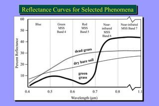 Reflectance Curves Reflectance Curves ffoorr SSeelleecctteedd PPhheennoommeennaa 
 