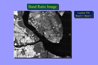 BBaanndd RRaattiioo IImmaaggee 
Landsat TM 
Band 4 / Band 3 
Landsat TM 
Band 4 / Band 3 
 