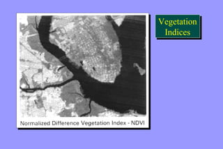 Vegetation 
Indices 
Vegetation 
Indices 
 
