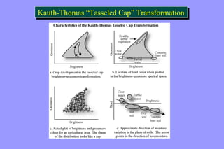 Kauth-Thomas “ Kauth-Thomas “TTaasssseelleedd CCaapp”” TTrraannssffoorrmmaattiioonn 
 