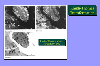 Kauth-Thomas 
Transformation 
Kauth-Thomas 
Transformation 
Landsat Thematic Mapper 
Landsat Thematic Mapper 
November 9, 1982 
November 9, 1982 
 