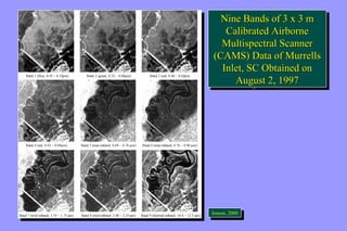 Nine Bands of 3 x 3 m 
Calibrated Airborne 
Multispectral Scanner 
(CAMS) Data of Murrells 
Inlet, SC Obtained on 
Nine Bands of 3 x 3 m 
Calibrated Airborne 
Multispectral Scanner 
(CAMS) Data of Murrells 
Inlet, SC Obtained on 
August 2, 1997 
August 2, 1997 
JeJnesnesnen, ,2 2000000 
Band 1 (blue; 0.45 – 0.52 mm) Band 2 (green; 0.52 – 0.60 mm) Band 3 (red; 0.60 – 0.63mm) 
Band 1 (blue; 0.45 – 0.52 mm) Band 2 (green; 0.52 – 0.60 mm) Band 3 (red; 0.60 – 0.63mm) 
Band 4 (red; 0.63 – 0.69 mm) Band 5 (near-infrared; 0.69 – 0.76 mm) Band 6 (near-infrared; 0.76 – 0.90 mm) 
Band 4 (red; 0.63 – 0.69 mm) Band 5 (near-infrared; 0.69 – 0.76 mm) Band 6 (near-infrared; 0.76 – 0.90 mm) 
Band 7 (mid-infrared; 1.55 – 1.75 mm) Band 8 (mid-infrared; 2.08 – 2.35 mm) Band 9 (thermal-infrared; 10.4 – 12.5 mm) 
Band 7 (mid-infrared; 1.55 – 1.75 mm) Band 8 (mid-infrared; 2.08 – 2.35 mm) Band 9 (thermal-infrared; 10.4 – 12.5 mm) 
 