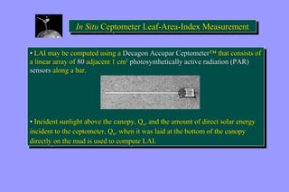IInn SSiitittutuu CCeeppttotoommeetteteerr L Leeaaff--AArreeaa--IInnddeexx M Meeaassuurreemmeenntt 
•• LAI may be computed using a Decagon Accupar Ceptometer™ that consists of 
a linear array of 80 adjacent 1 cm2 photosynthetically active radiation (PAR) 
sensors along a bar. 
•• LAI may be computed using a Decagon Accupar Ceptometer™ that consists of 
a linear array of 80 adjacent 1 cm2 photosynthetically active radiation (PAR) 
sensors along a bar. 
•• Incident sunlight above the canopy, Qa, and the amount of direct solar energy 
incident to the ceptometer, Qb, when it was laid at the bottom of the canopy 
directly on the mud is used to compute LAI. 
•• Incident sunlight above the canopy, Qa, and the amount of direct solar energy 
incident to the ceptometer, Qb, when it was laid at the bottom of the canopy 
directly on the mud is used to compute LAI. 
 