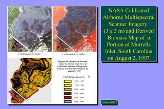 NASA Calibrated 
Airborne Multispectral 
Scanner Imagery 
(3 x 3 m) and Derived 
Biomass Map of a 
Portion of Murrells 
Inlet, South Carolina 
on August 2, 1997 CAMS Bands 1,2,3 (RGB) CAMS Bands 6,4,2 (RGB) 
NASA Calibrated 
Airborne Multispectral 
Scanner Imagery 
(3 x 3 m) and Derived 
Biomass Map of a 
Portion of Murrells 
Inlet, South Carolina 
on August 2, 1997 
CAMS Bands 1,2,3 (RGB) CAMS Bands 6,4,2 (RGB) 
TM Bands 5,3,2 (RGB) 
Biomass in a Portion of Murrells 
Inlet, SC Derived from 3 x 3 m 
Calibrated Airborne Multispectral 
Scanner (CAMS) Data Obtained on 
August 2, 1997 
Total Biomass (grams/m 2) 
500 - 749 
750 - 999 
1000 - 1499 
1500 - 1999 
2000 - 2499 
2500 - 2999 
TM Bands 5,3,2 (RGB) 
Biomass in a Portion of Murrells 
Inlet, SC Derived from 3 x 3 m 
Calibrated Airborne Multispectral 
Scanner (CAMS) Data Obtained on 
August 2, 1997 
Total Biomass (grams/m 2) 
500 - 749 
750 - 999 
1000 - 1499 
1500 - 1999 
2000 - 2499 
2500 - 2999 
JeJnesnesne,n 2, 0200000 
 