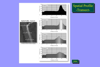 Spatial Profile 
-Transect- 
Spatial Profile 
-Transect- 
22000044 
 