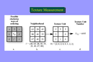 TTeexxttuurree MMeeaassuurreemmeenntt 
 