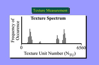 TTeexxttuurree MMeeaassuurreemmeenntt 
 