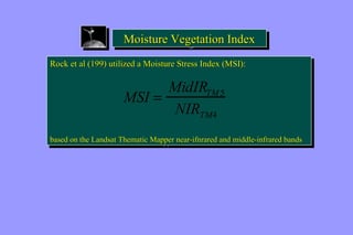 MMooiissttuurree VVeeggeettaattiioonn IInnddeexx 
Rock et al (199) utilized a Moisture Stress Index (MSI): 
Rock et al (199) utilized a Moisture Stress Index (MSI): 
MSI = MidIRTM5 
NIRTM4 
based on the Landsat Thematic Mapper near-ifnrared and middle-infrared bands 
based on the Landsat Thematic Mapper near-ifnrared and middle-infrared bands 
