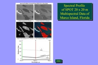 Spectral Profile 
of SPOT 20 x 20 m 
Multispectral Data of 
Marco Island, Florida 
Spectral Profile 
of SPOT 20 x 20 m 
Multispectral Data of 
Marco Island, Florida 
22000044 
 