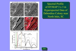 Spectral Profile 
of HYMAP 3 x 3 m 
Hyperspectral Data of 
Debordieu Colony near 
Spectral Profile 
of HYMAP 3 x 3 m 
Hyperspectral Data of 
Debordieu Colony near 
North Inlet, SC 
North Inlet, SC 
22000044 
 