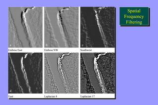 Spatial 
Frequency 
Filtering 
Spatial 
Frequency 
Filtering 
 
