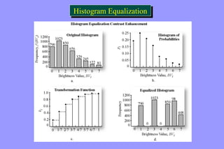 HHiissttooggrraamm EEqquuaalliizzaattiioonn 
 