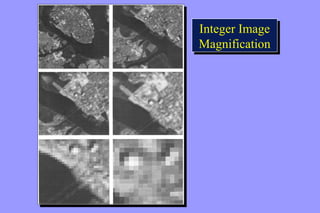 Integer Image 
Magnification 
Integer Image 
Magnification 
 