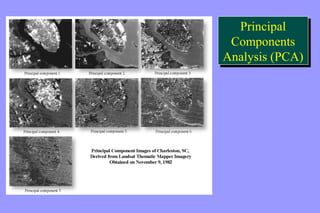 Principal 
Components 
Analysis (PCA) 
Principal 
Components 
Analysis (PCA) 
 