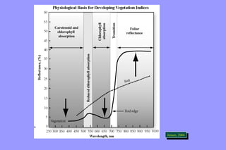 JeJnesnesne,n ,2 0200044 
 