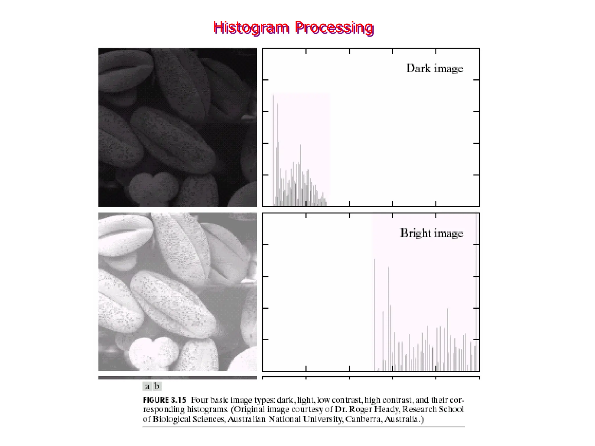 Histogram Processing
 