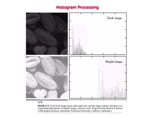 Histogram Processing
 
